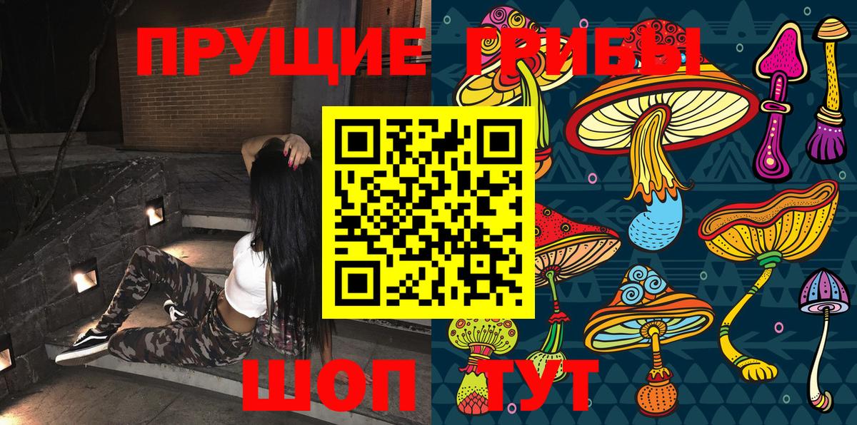 Галлюциногенные грибы Magic Shrooms  Вход с VPN  где продают наркотики  Нижний Тагил 