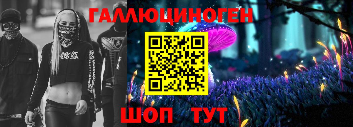 Псилоцибиновые грибы прущие грибы Нижний Тагил